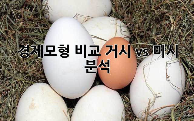 경제모형 비교: 거시 vs 미시 분석