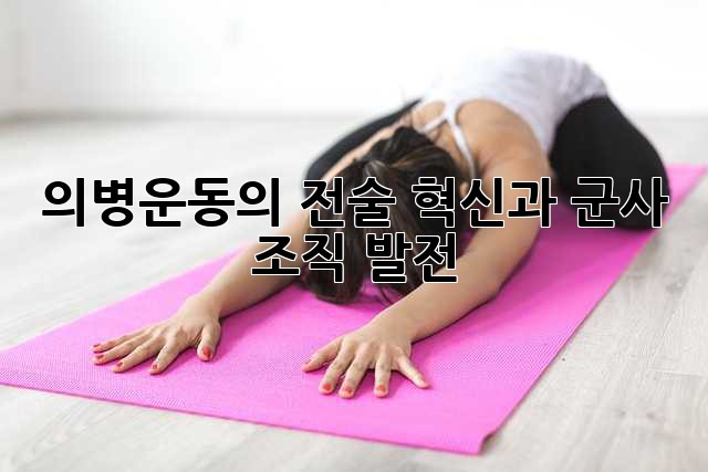 의병운동의 전술 혁신과 군사 조직 발전
