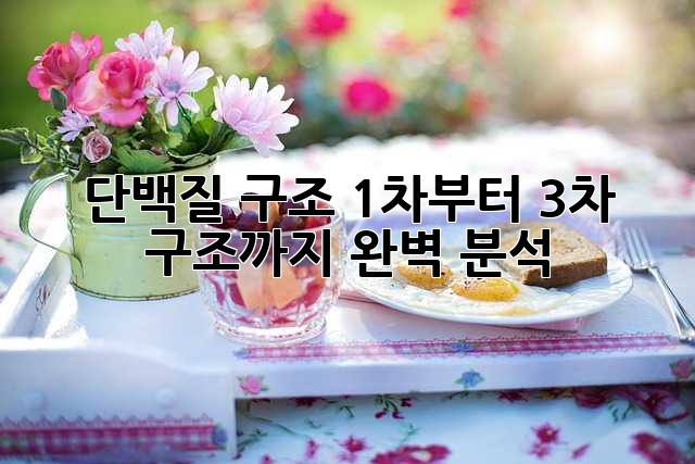 단백질 구조: 1차부터 3차 구조까지 완벽 분석