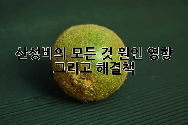 산성비의 모든 것: 원인, 영향, 그리고 해결책