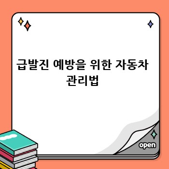 급발진 예방을 위한 자동차 관리법