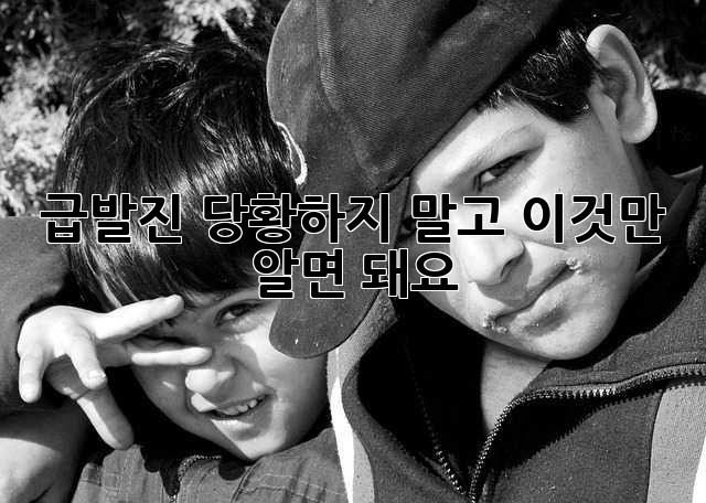 급발진? 당황하지 말고, 이것만 알면 돼요!