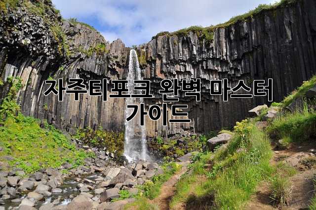 자주티포크 완벽 마스터 가이드