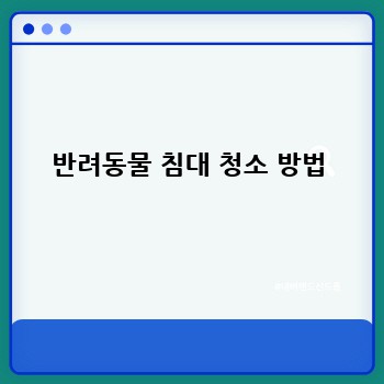 반려동물 침대 청소 방법