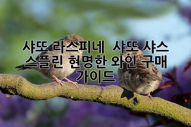 샤또 라스피네 & 샤또 샤스 스플린: 현명한 와인 구매 가이드