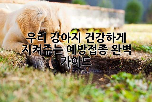 우리 강아지, 건강하게 지켜주는 예방접종 완벽 가이드!