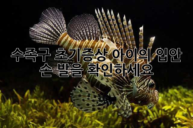 수족구 초기증상: 아이의 입안, 손, 발을 확인하세요!