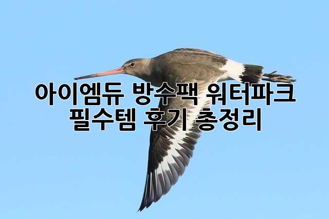 아이엠듀 방수팩: 워터파크 필수템? 후기 총정리!