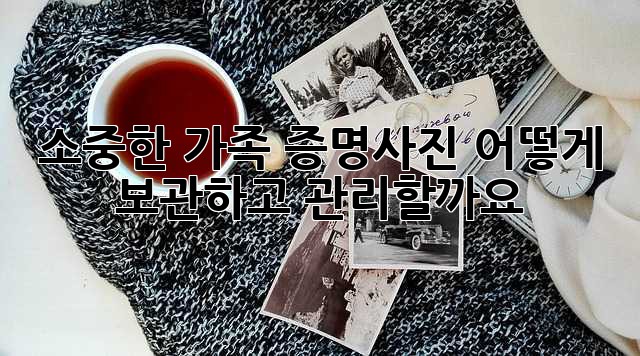 소중한 가족 증명사진, 어떻게 보관하고 관리할까요?