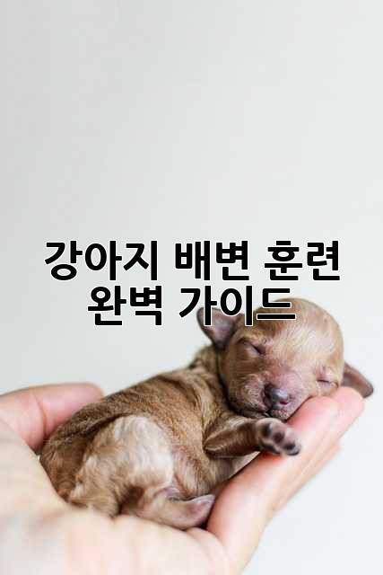 강아지 배변 훈련 완벽 가이드